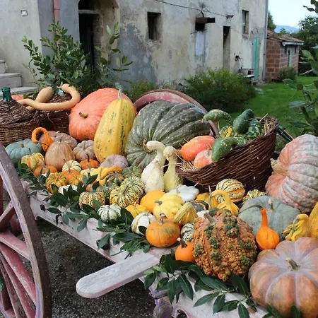 Vakantieboerderij Fattoria Le Giare