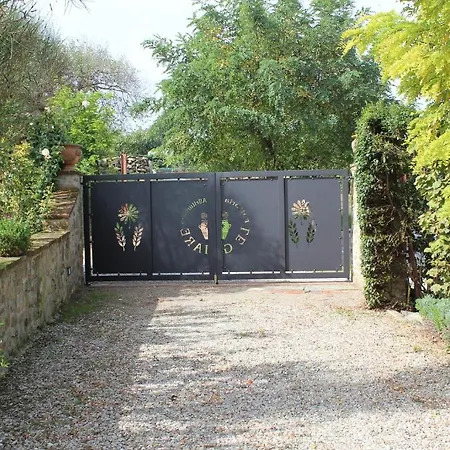 Vakantieboerderij Fattoria Le Giare Cortona